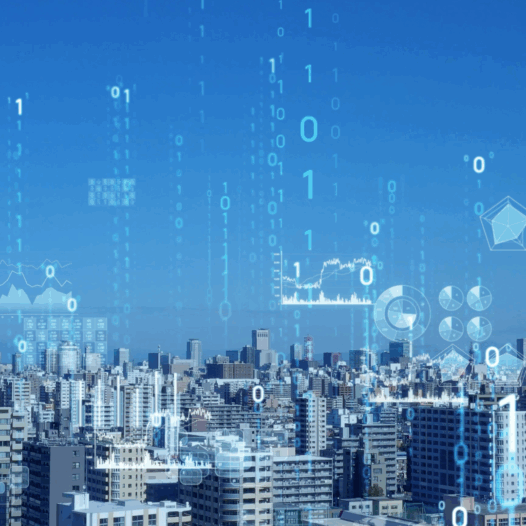 Enterprise Transformations in the Digital Economy
