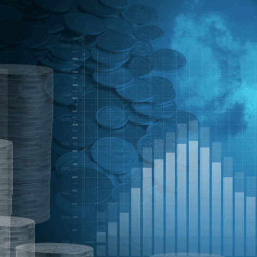 Financial Management