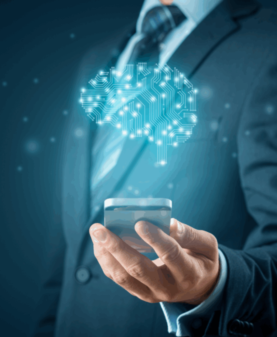 IT Systems for BI
